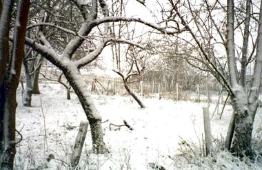 Des airs de station de sports d'hiver