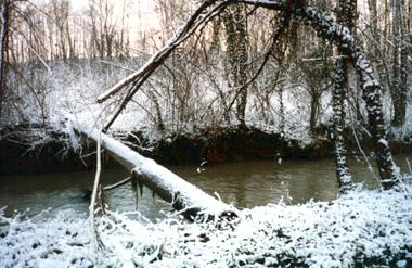 Les bords de l'Orvanne