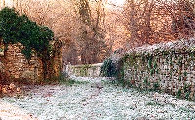 l'hiver &agrave; Bichereau