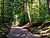 Papier peint : le chemin de Montmachoux